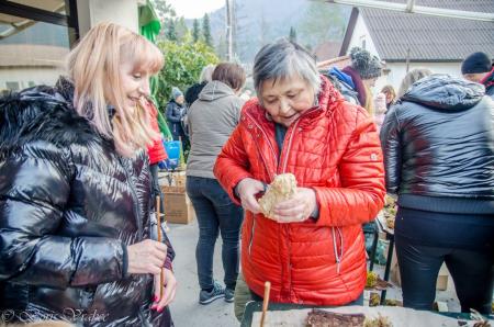Spuščanje gregorčkov v Rimskih Toplicah 15